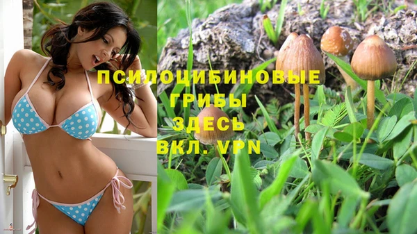 марки lsd Алзамай