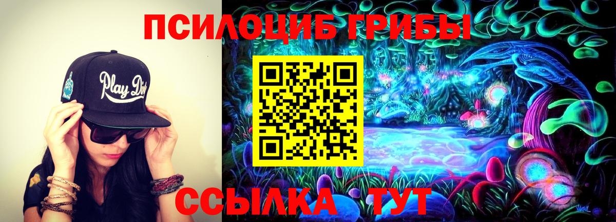Псилоцибиновые грибы мицелий  Галлюциногенные грибы мицелий  где найти наркотики  Егорьевск  Вход с VPN 